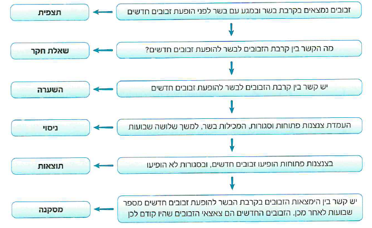 (בספר תרשים, התרשים מופיע כטקסט)